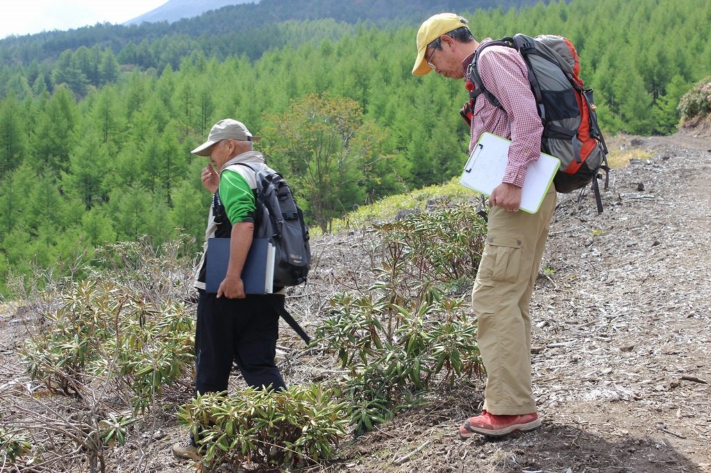 シャクナゲ園の高山植物に詳しいガイドツアーの講師陣