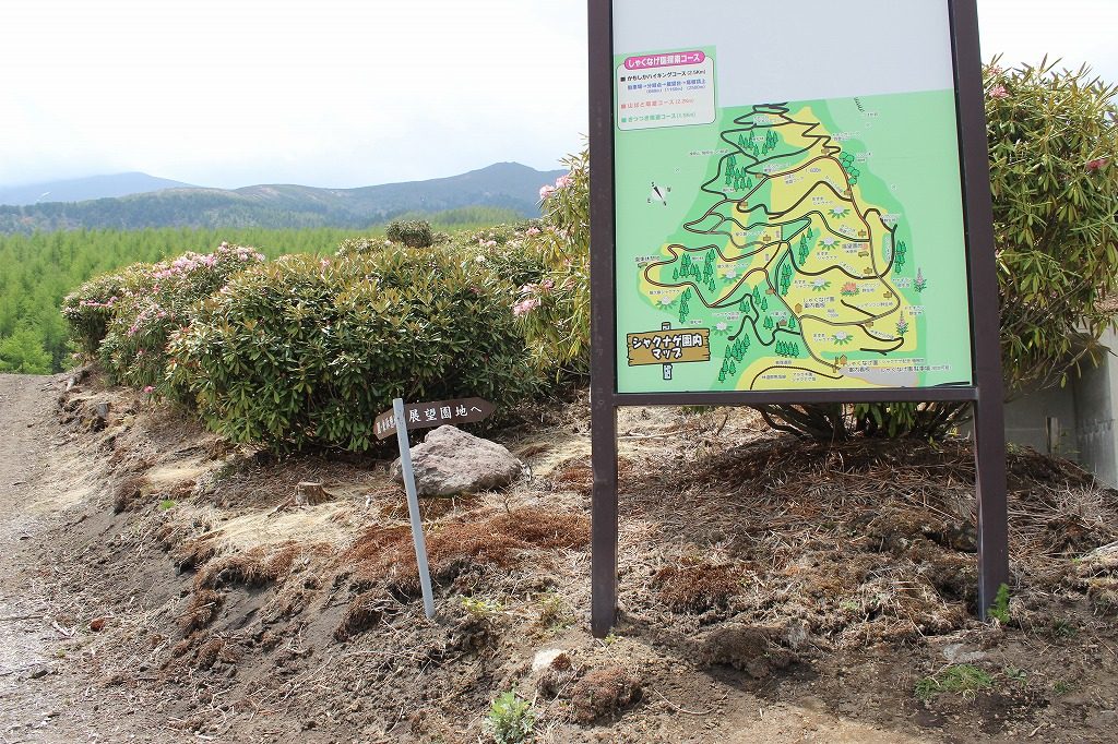 浅間高原のシャクナゲ園の園内マップ