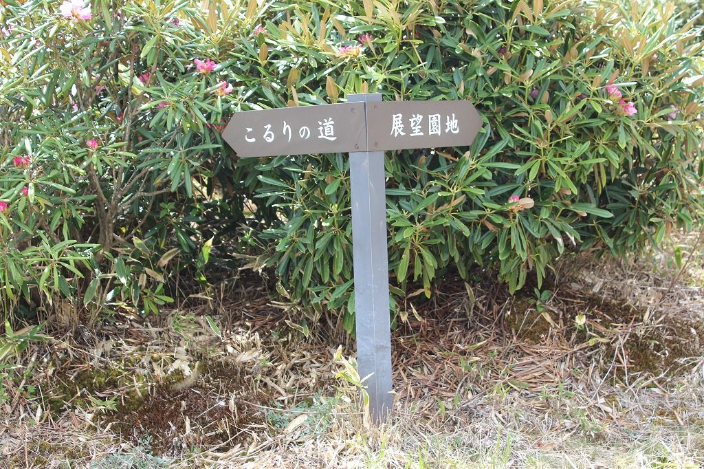 嬬恋村・浅間高原シャクナゲ園の道標
