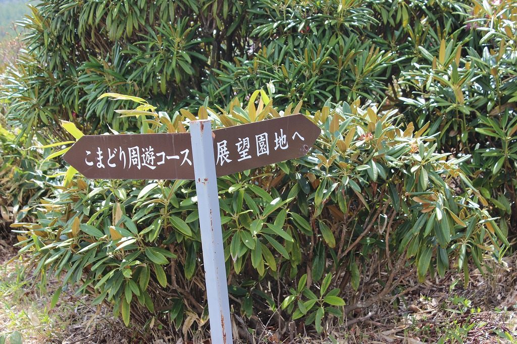 浅間高原シャクナゲ園のの案内板