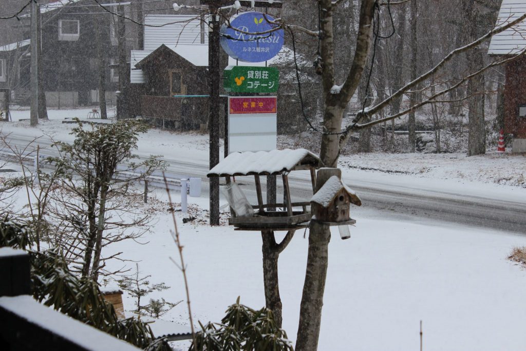 ルネス軽井沢の3月の大雪