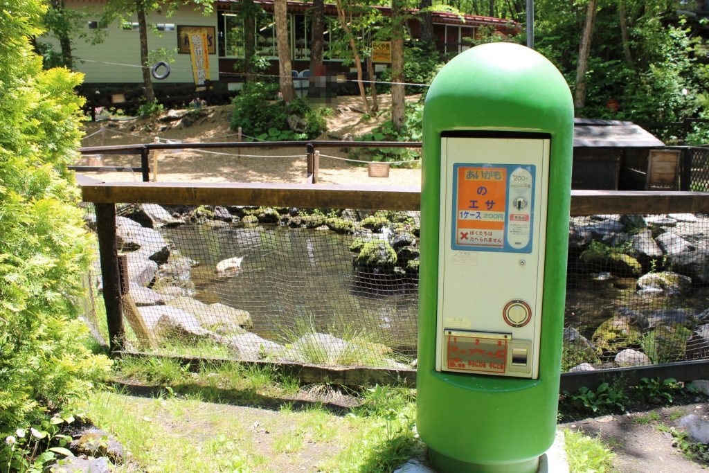 軽井沢おもちゃ王国のアスレチックエリア「鴨池」