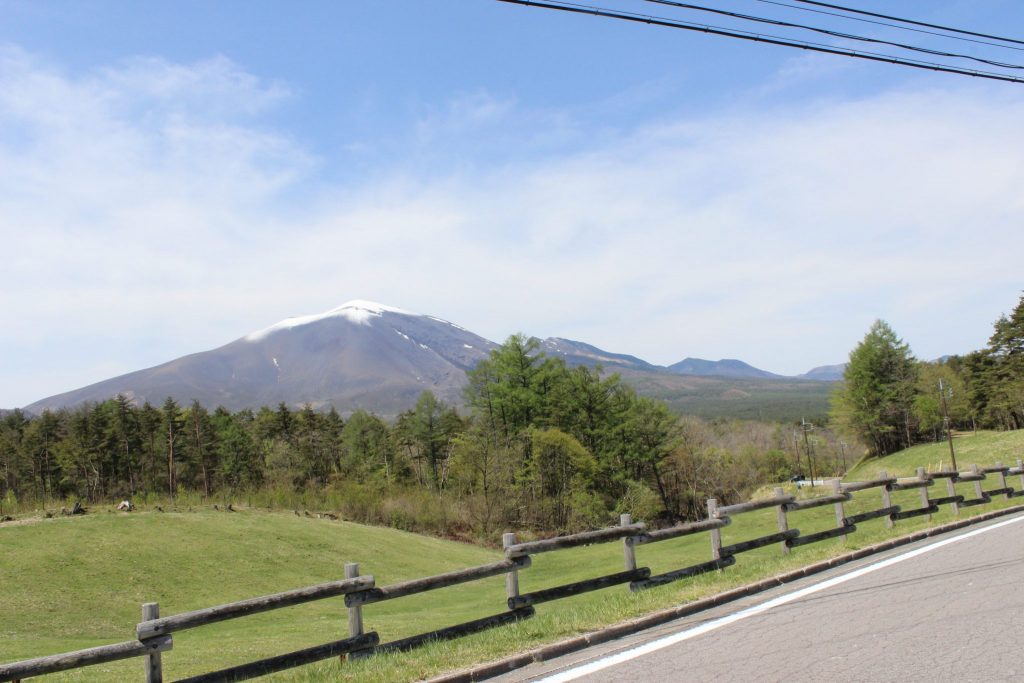 浅間牧場の開放エリアからの風景