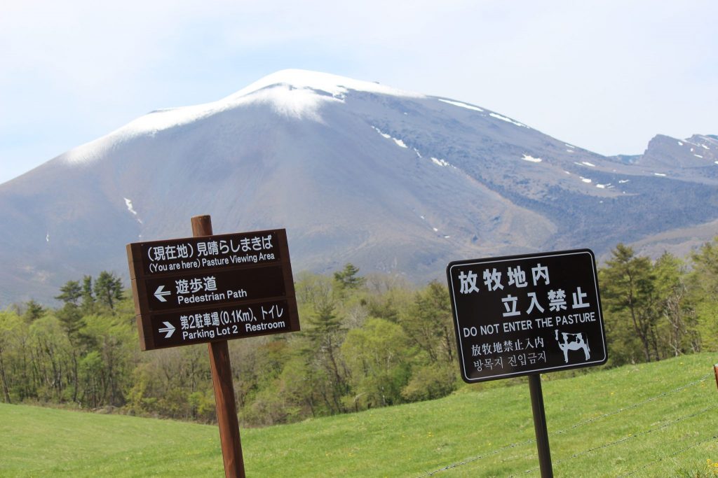 浅間牧場の放牧地立入禁止看板