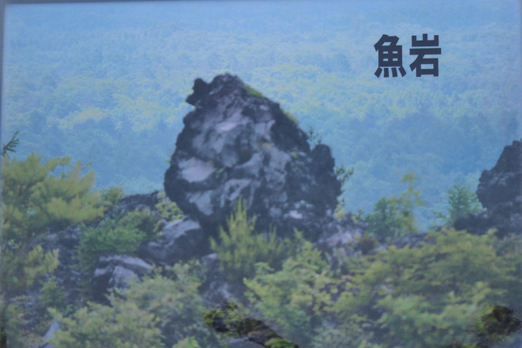 鬼押し出し園　おもしろ岩　魚岩