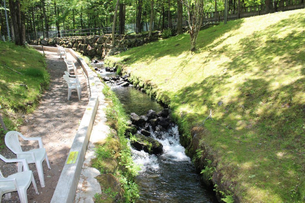 軽井沢おもちゃ王国の渓流