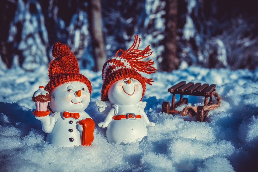 ホワイトクリスマスを期待するコテージ