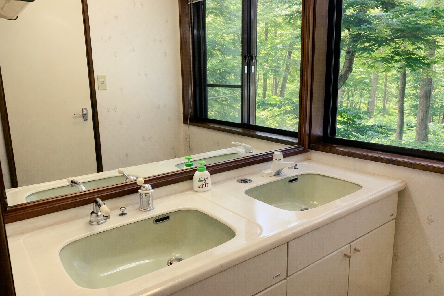 貸別荘ルネス軽井沢「スイエン」洗面台